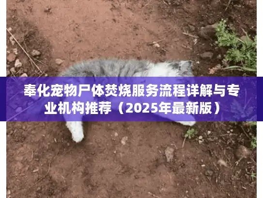 奉化宠物尸体焚烧服务流程详解与专业机构推荐(2025年最新版) 奉化宠物尸体焚烧服务流程详解与专业机构推荐(2025年最新版)