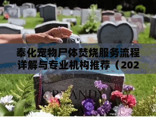 奉化宠物尸体焚烧服务流程详解与专业机构推荐(2025年最新版) 奉化宠物尸体焚烧服务流程详解与专业机构推荐(2025年最新版)