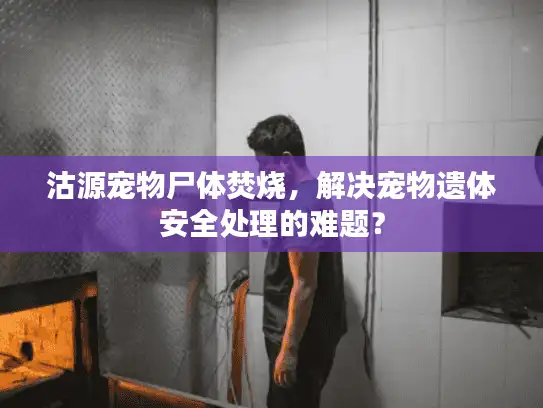 沽源宠物尸体焚烧,解决宠物遗体安全处理的难题? 沽源宠物尸体焚烧,解决宠物遗体安全处理的难题?