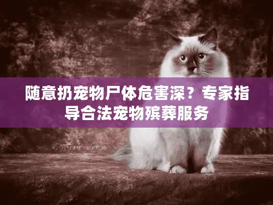 随意扔宠物尸体危害深？专家指导合法宠物殡葬服务