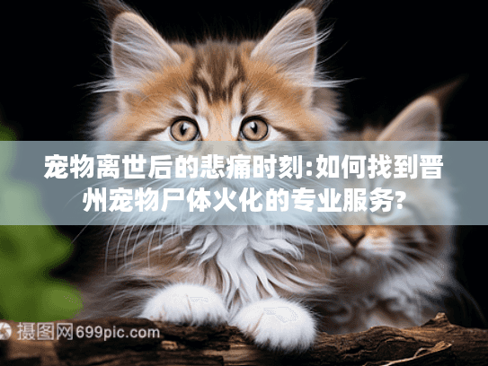 宠物离世后的悲痛时刻:如何找到晋州宠物尸体火化的专业服务?