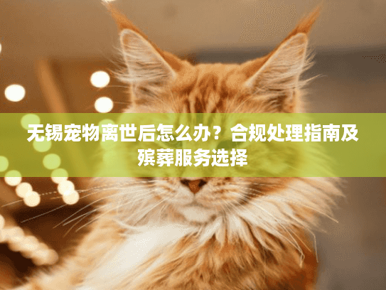 无锡宠物离世后怎么办？合规处理指南及殡葬服务选择