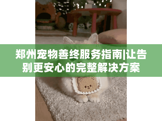 郑州宠物善终服务指南|让告别更安心的完整解决方案