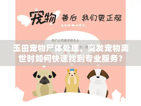 玉田宠物尸体处理，突发宠物离世时如何快速找到专业服务？