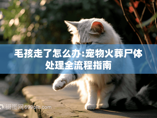 毛孩走了怎么办:宠物火葬尸体处理全流程指南
