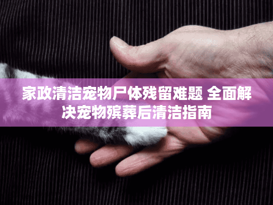 家政清洁宠物尸体残留难题 全面解决宠物殡葬后清洁指南
