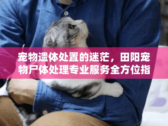 宠物遗体处置的迷茫，田阳宠物尸体处理专业服务全方位指南