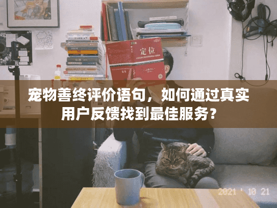 宠物善终评价语句，如何通过真实用户反馈找到最佳服务？