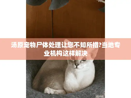 汤原宠物尸体处理让您不知所措?当地专业机构这样解决