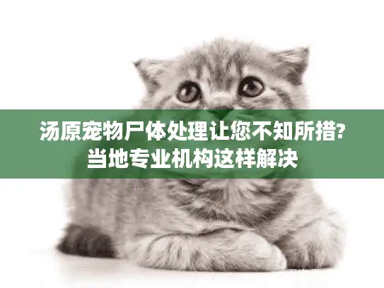 汤原宠物尸体处理让您不知所措?当地专业机构这样解决