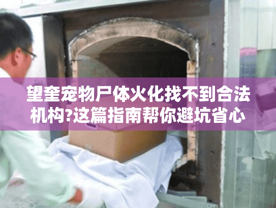 望奎宠物尸体火化找不到合法机构?这篇指南帮你避坑省心
