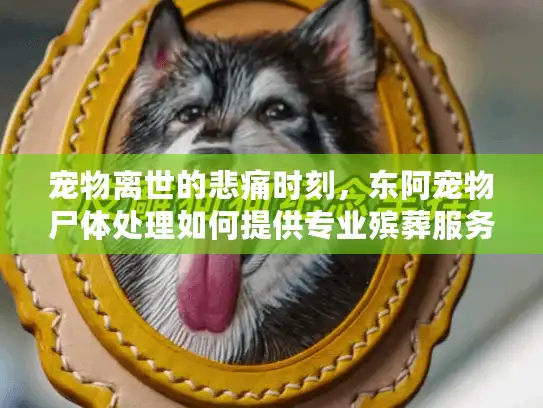 宠物离世的悲痛时刻,东阿宠物尸体处理如何提供专业殡葬服务? 宠物离世的悲痛时刻,东阿宠物尸体处理如何提供专业殡葬服务?