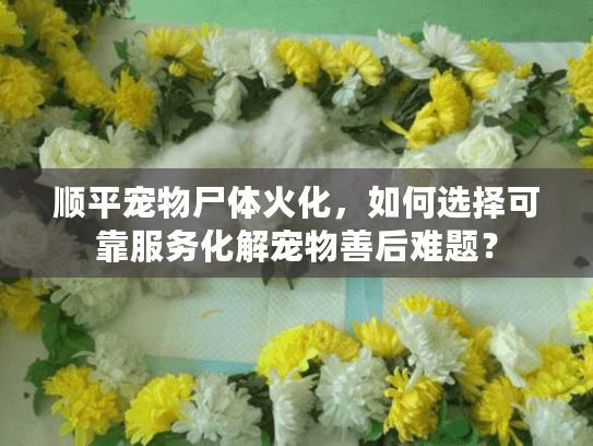 顺平宠物尸体火化，如何选择可靠服务化解宠物善后难题？