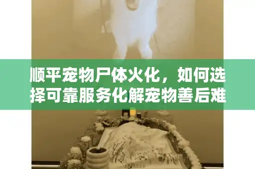 顺平宠物尸体火化，如何选择可靠服务化解宠物善后难题？