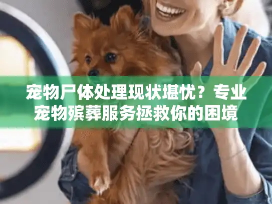 宠物尸体处理现状堪忧？专业宠物殡葬服务拯救你的困境