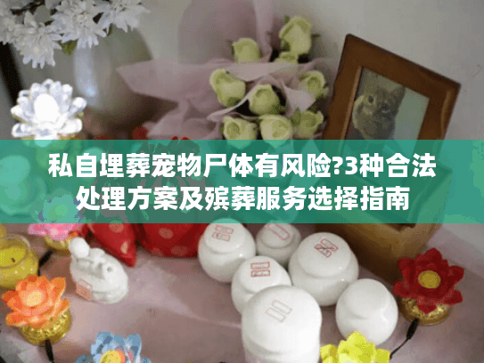 私自埋葬宠物尸体有风险?3种合法处理方案及殡葬服务选择指南 私自埋葬宠物尸体有风险?3种合法处理方案及殡葬服务选择指南