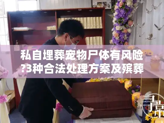 私自埋葬宠物尸体有风险?3种合法处理方案及殡葬服务选择指南 私自埋葬宠物尸体有风险?3种合法处理方案及殡葬服务选择指南