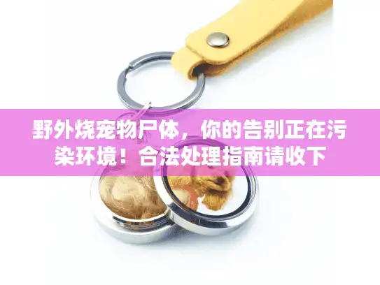 野外烧宠物尸体,你的告别正在污染环境!合法处理指南请收下 野外烧宠物尸体,你的告别正在污染环境!合法处理指南请收下