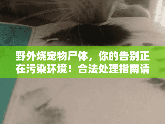 野外烧宠物尸体,你的告别正在污染环境!合法处理指南请收下 野外烧宠物尸体,你的告别正在污染环境!合法处理指南请收下