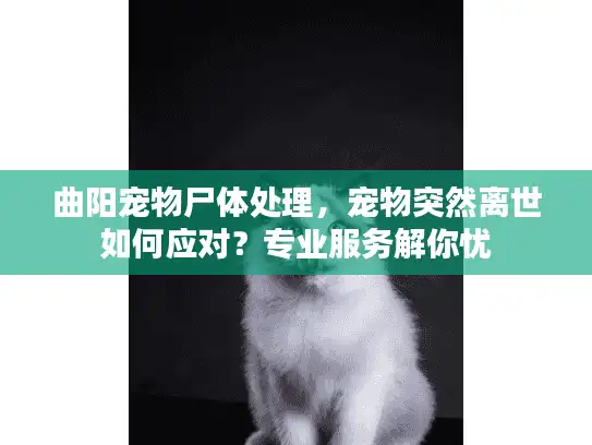 曲阳宠物尸体处理,宠物突然离世如何应对?专业服务解你忧 曲阳宠物尸体处理,宠物突然离世如何应对?专业服务解你忧