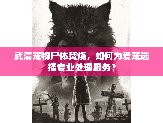 武清宠物尸体焚烧，如何为爱宠选择专业处理服务？