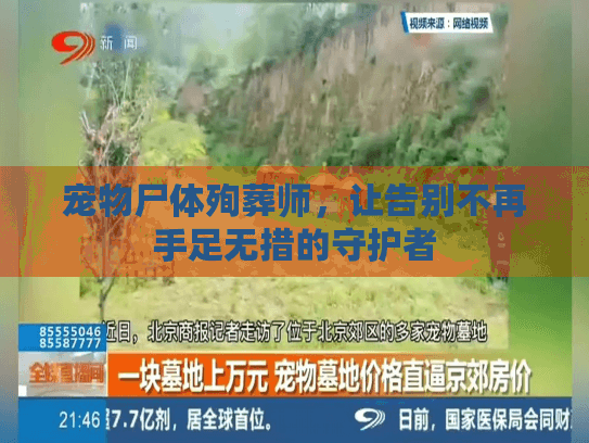 宠物尸体殉葬师，让告别不再手足无措的守护者