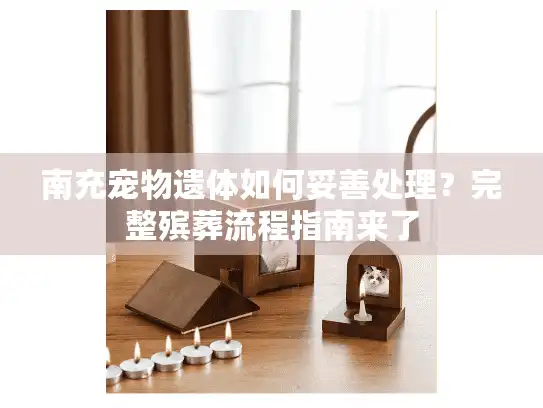 南充宠物遗体如何妥善处理？完整殡葬流程指南来了
