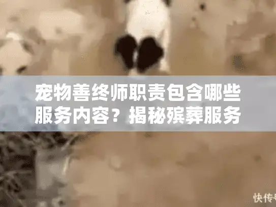 宠物善终师职责包含哪些服务内容？揭秘殡葬服务全流程细节