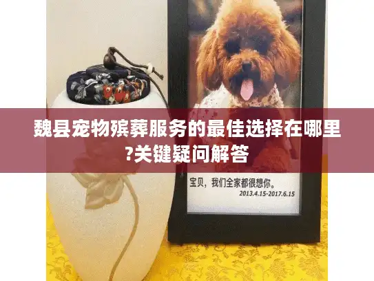魏县宠物殡葬服务的最佳选择在哪里?关键疑问解答