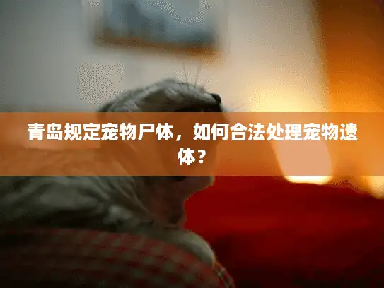 青岛规定宠物尸体，如何合法处理宠物遗体？