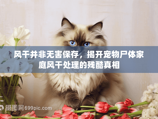 风干并非无害保存，揭开宠物尸体家庭风干处理的残酷真相