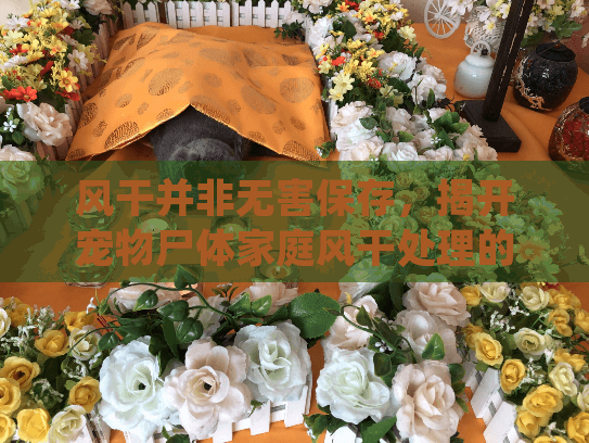 风干并非无害保存，揭开宠物尸体家庭风干处理的残酷真相