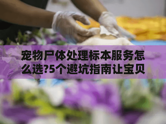 宠物尸体处理标本服务怎么选?5个避坑指南让宝贝体面告别