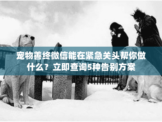宠物善终微信能在紧急关头帮你做什么?立即查询5种告别方案 宠物善终微信能在紧急关头帮你做什么?立即查询5种告别方案