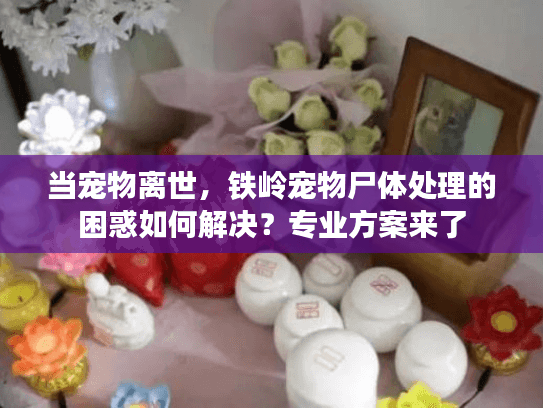 当宠物离世,铁岭宠物尸体处理的困惑如何解决?专业方案来了 当宠物离世,铁岭宠物尸体处理的困惑如何解决?专业方案来了
