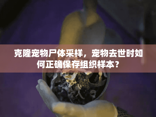 克隆宠物尸体采样，宠物去世时如何正确保存组织样本？