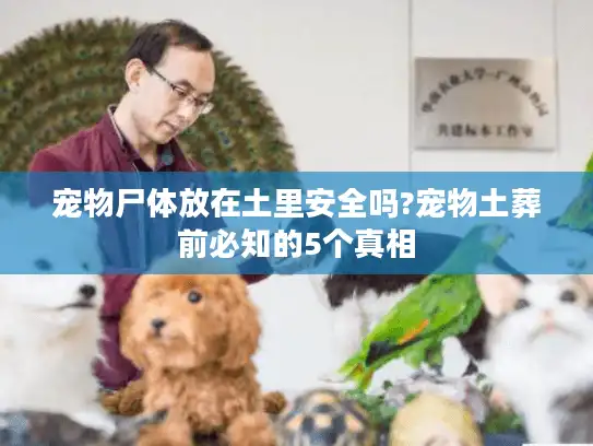 宠物尸体放在土里安全吗?宠物土葬前必知的5个真相 宠物尸体放在土里安全吗?宠物土葬前必知的5个真相