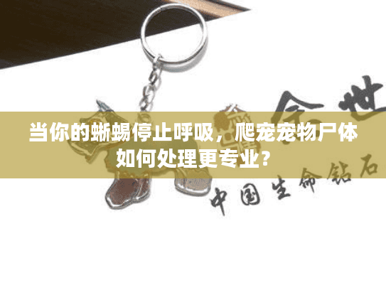 当你的蜥蜴停止呼吸，爬宠宠物尸体如何处理更专业？