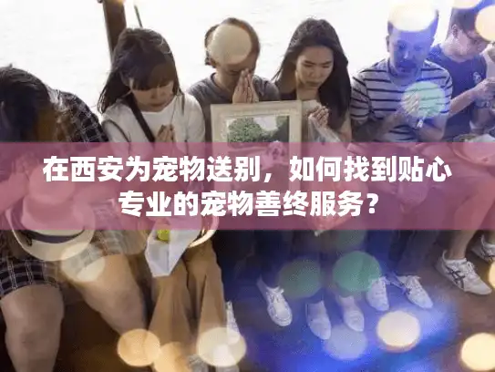 在西安为宠物送别，如何找到贴心专业的宠物善终服务？