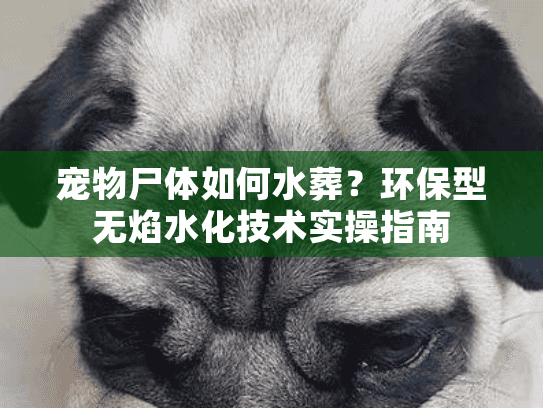 宠物尸体如何水葬？环保型无焰水化技术实操指南