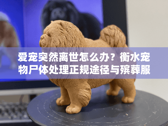 爱宠突然离世怎么办?衡水宠物尸体处理正规途径与殡葬服务全指南 爱宠突然离世怎么办?衡水宠物尸体处理正规途径与殡葬服务全指南