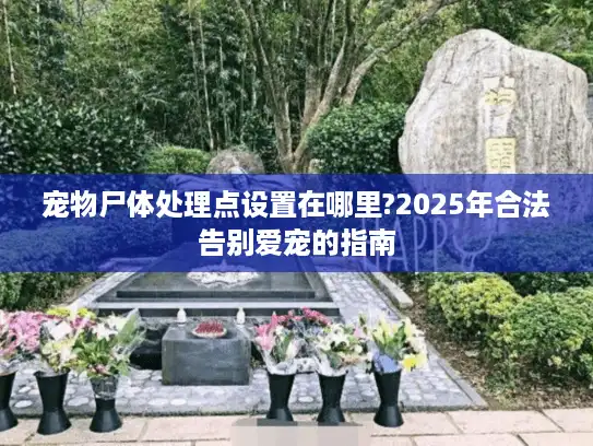 宠物尸体处理点设置在哪里?2025年合法告别爱宠的指南 宠物尸体处理点设置在哪里?2025年合法告别爱宠的指南