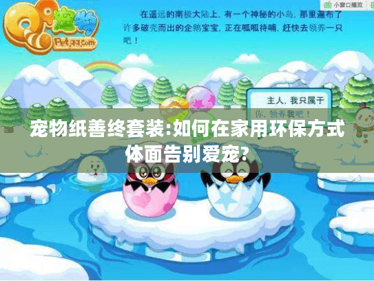 宠物纸善终套装:如何在家用环保方式体面告别爱宠?