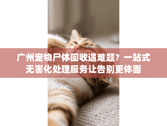 广州宠物尸体回收遇难题？一站式无害化处理服务让告别更体面