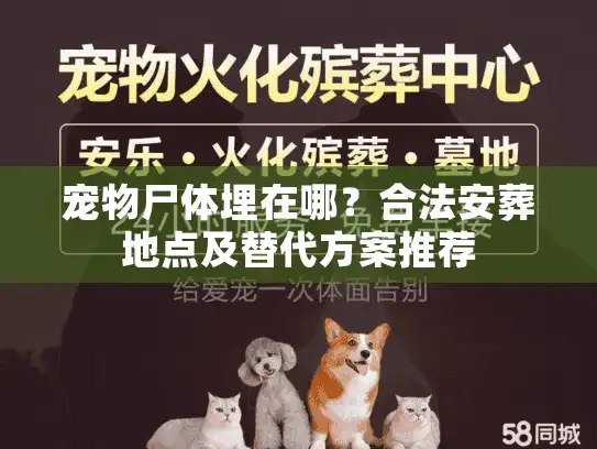 宠物尸体埋在哪？合法安葬地点及替代方案推荐
