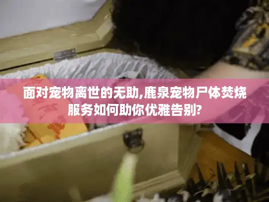 面对宠物离世的无助,鹿泉宠物尸体焚烧服务如何助你优雅告别?