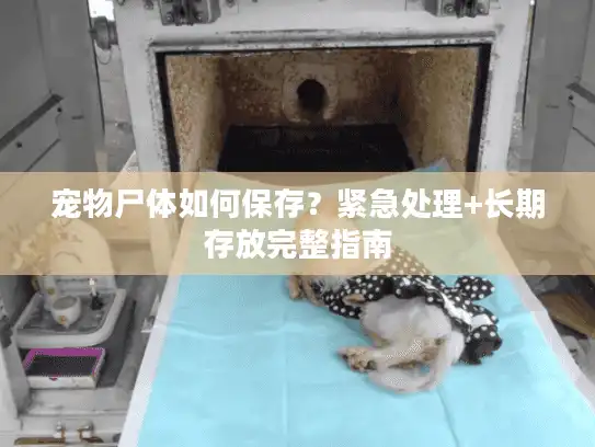宠物尸体如何保存？紧急处理+长期存放完整指南
