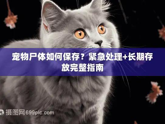 宠物尸体如何保存？紧急处理+长期存放完整指南