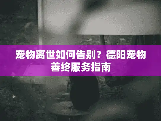 宠物离世如何告别？德阳宠物善终服务指南