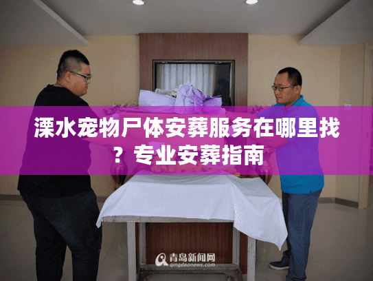 溧水宠物尸体安葬服务在哪里找？专业安葬指南